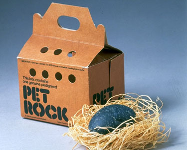 Pet Rock Gamification