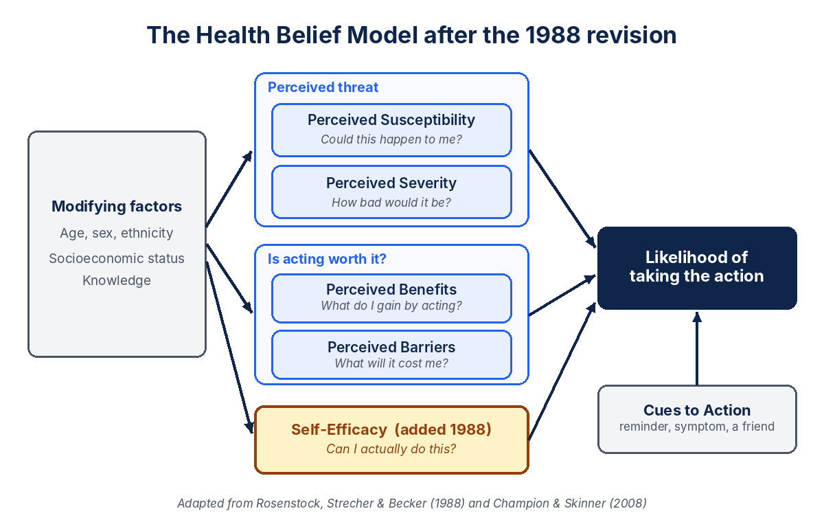 Health Belief Model diagram after the 1988 revision: modifying factors feed perceived threat (susceptibility, severity), benefits versus barriers, and self-efficacy, which with cues to action shape the likelihood of taking a health action